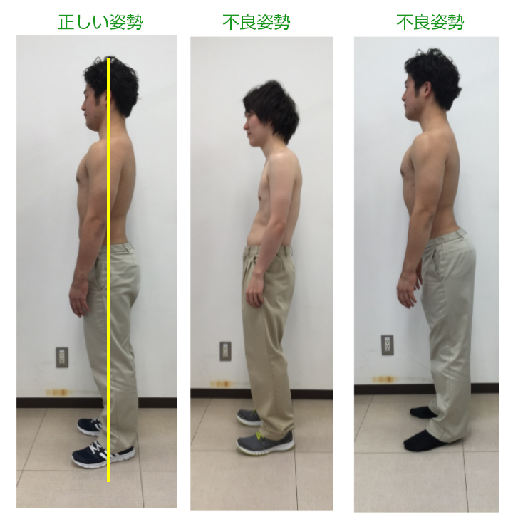 正しい姿勢のポイント 第二わしざわ整形外科 ニュース